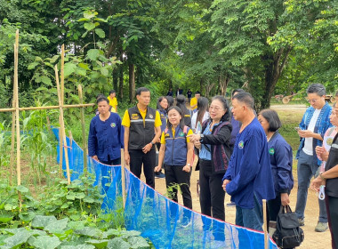 ตรวจประเมินรางวัลเลิศรัฐ &quot;เกษตรผสมผสาน บ้านนาพูนร่วมใจ ... พารามิเตอร์รูปภาพ 75